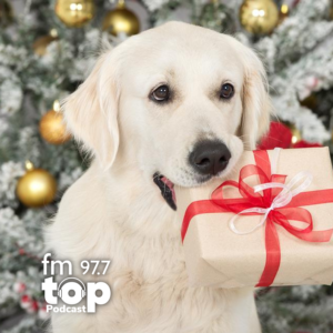 Mabo en Navidad